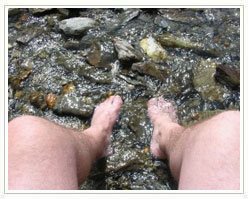 Slider image (6) Laser Foot Surgery Specialist | Spanish Patient Center